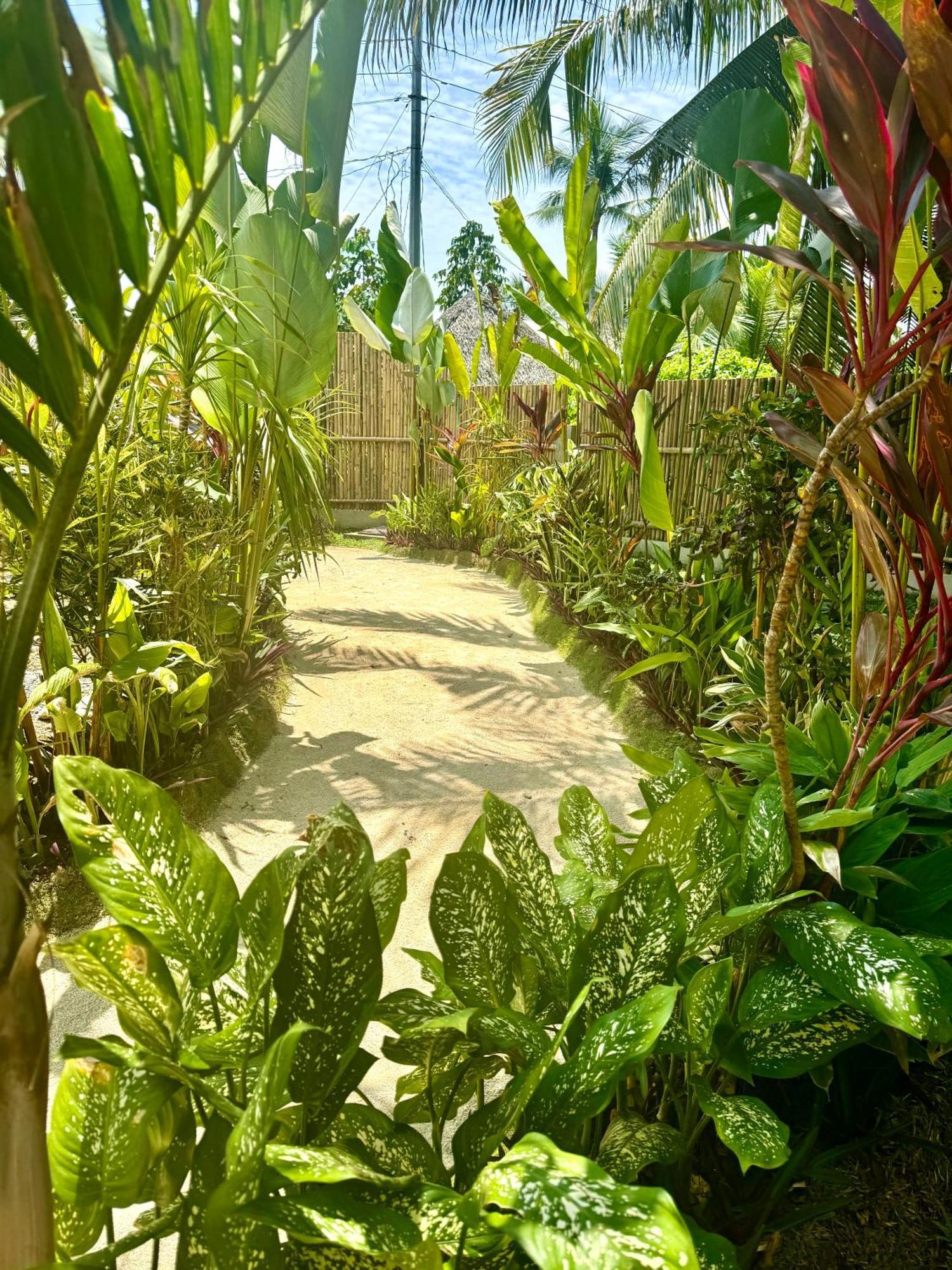 Villa Pura Vida Apartments Siargao General Luna  Dış mekan fotoğraf
